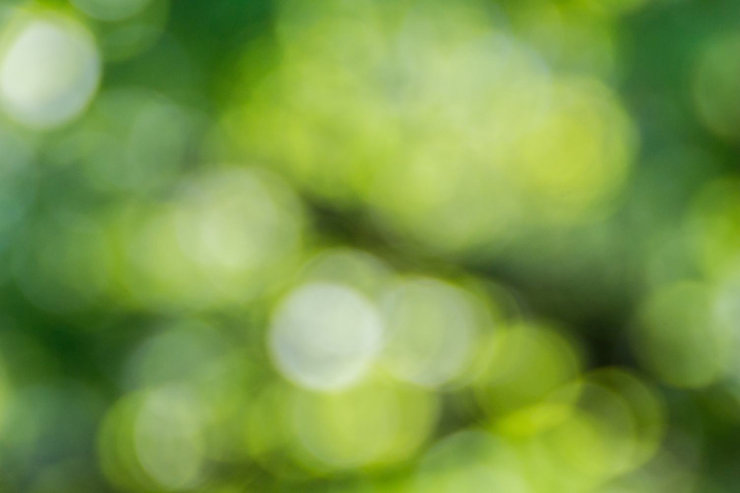 Green Bokeh out of Focus