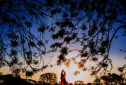 Young Couple Enjoying the Sunset in the Meadow