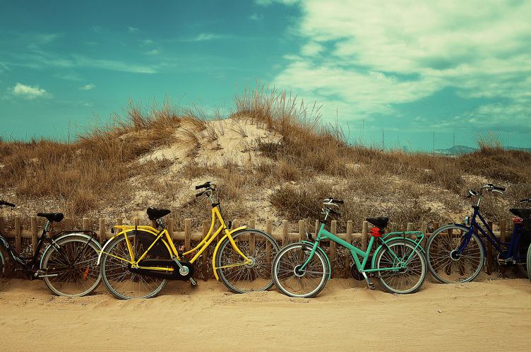 Colorful Vintage Bicycles Leaning against Wooden Fence at Beach