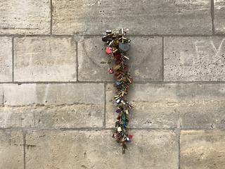 Lovelocks on the Old Wall