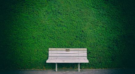Wooden Bench against Green Hedge Wall