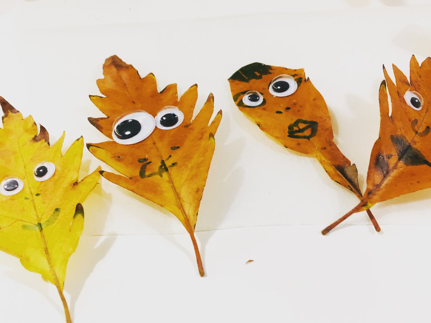 Leaves Faces - Super Easy Crafts for Children