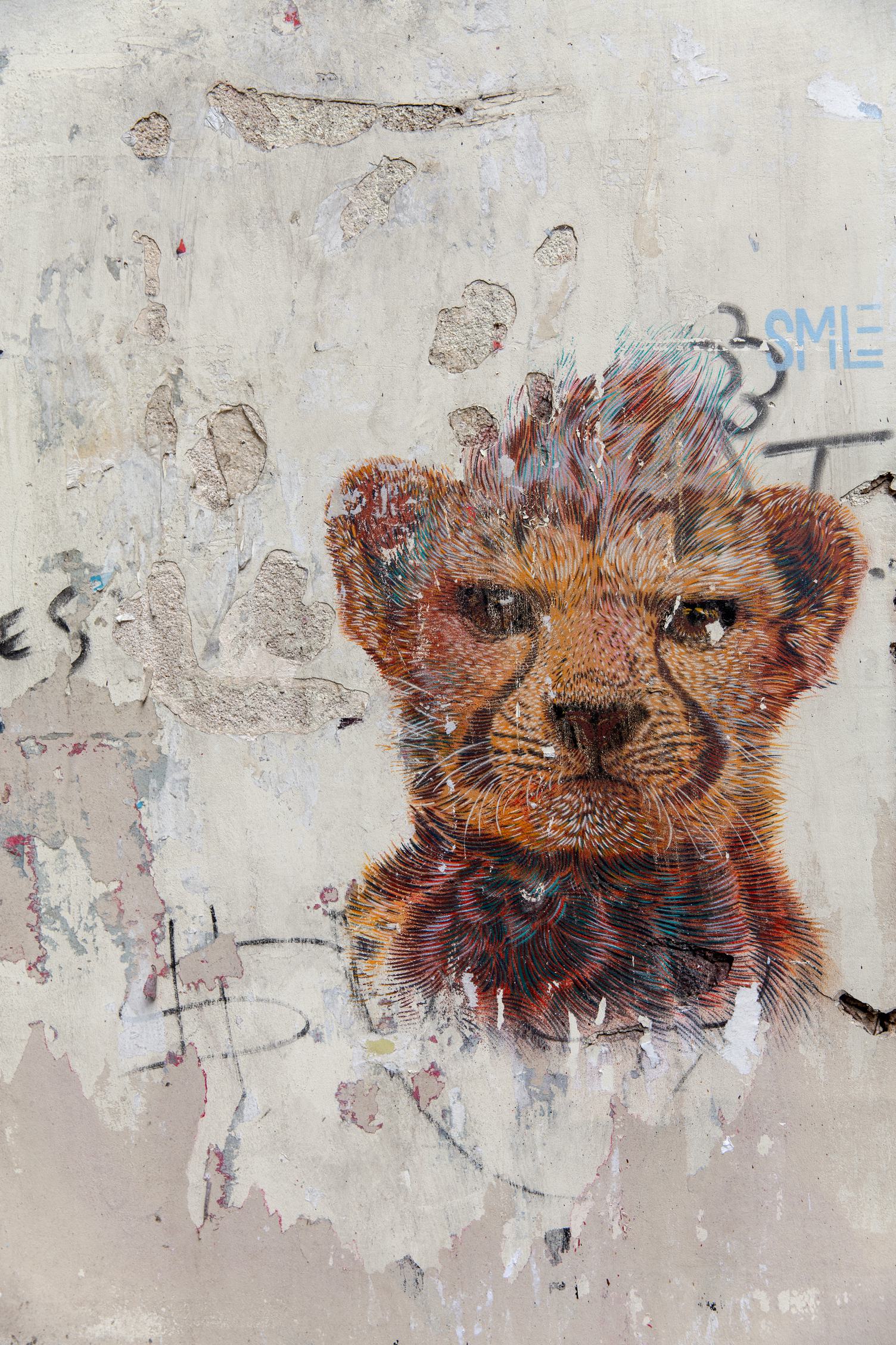 Grunge Wall with Tiger Graffiti