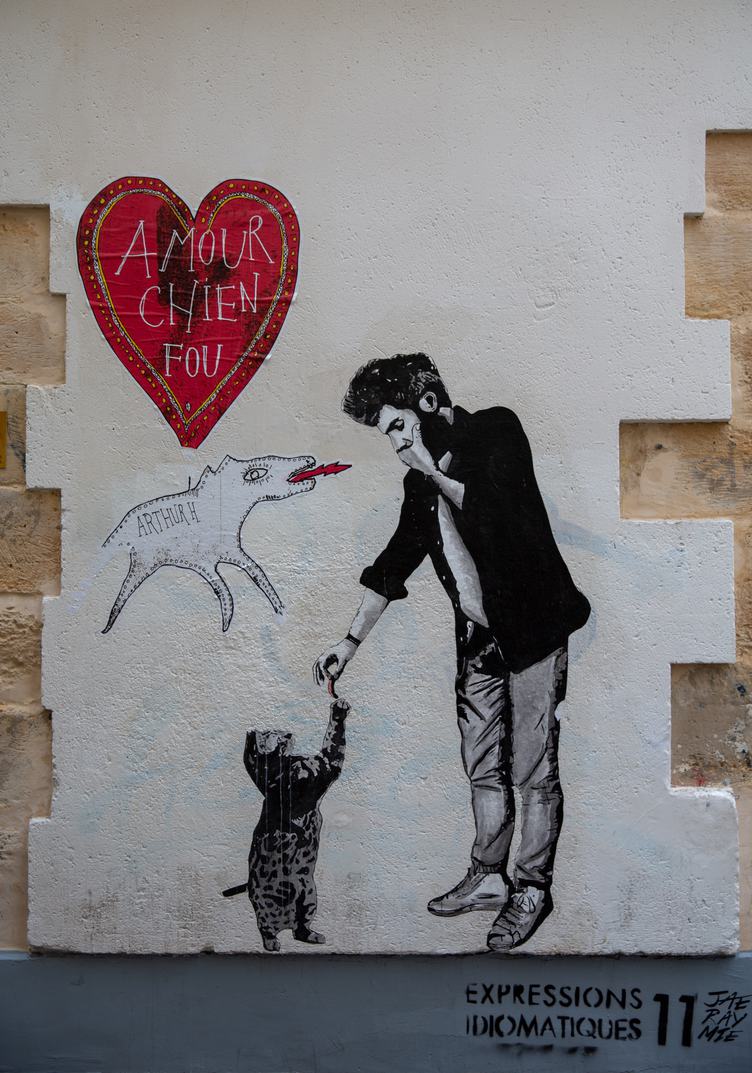 Crazy Dog Love Graffiti by Jae Ray Mie