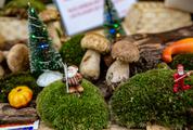 Christmas Decoration with Moss