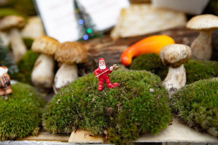 Decoration with Moss and Mushrooms