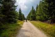 Mountain Hike