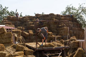 Man Working on Hay