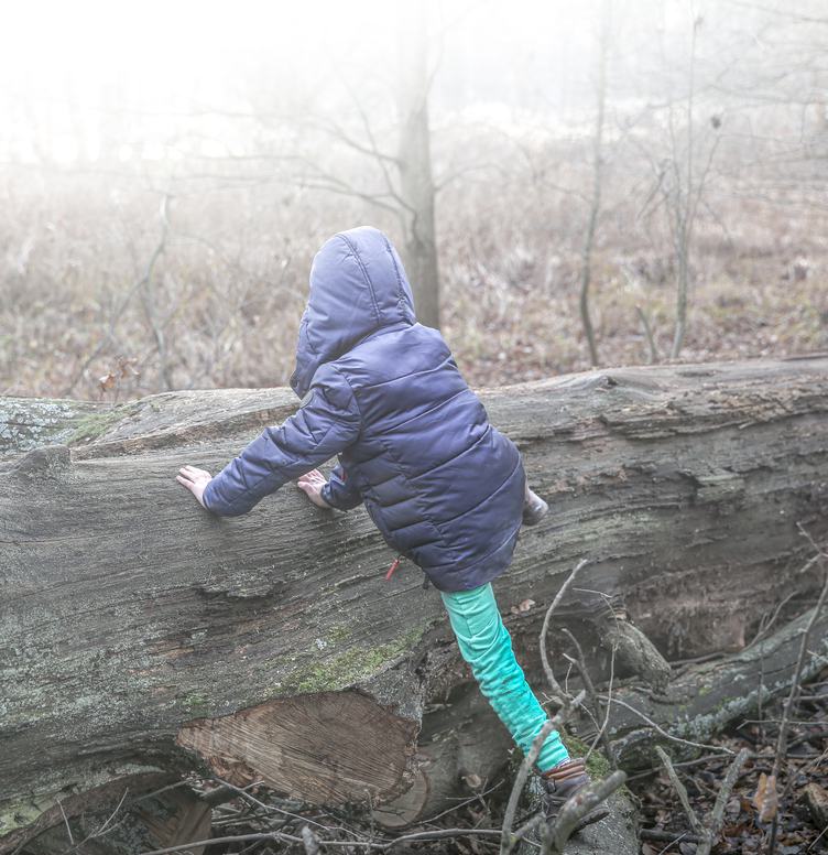 Child and a Fallen Tree