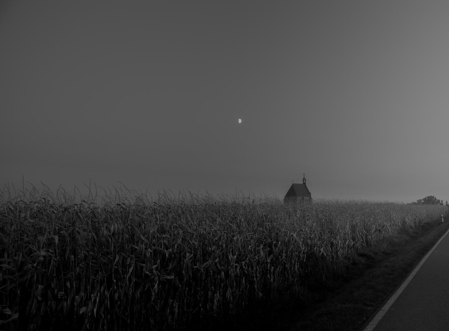 Dark Landscape, Little Church in a Cornfield