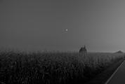 Dark Landscape, Little Church in a Cornfield