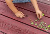 Natural Play with Acorns