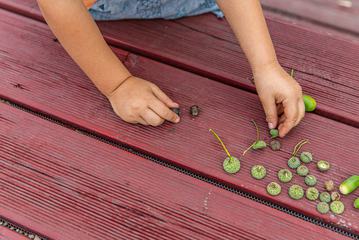 Natural Play with Acorns