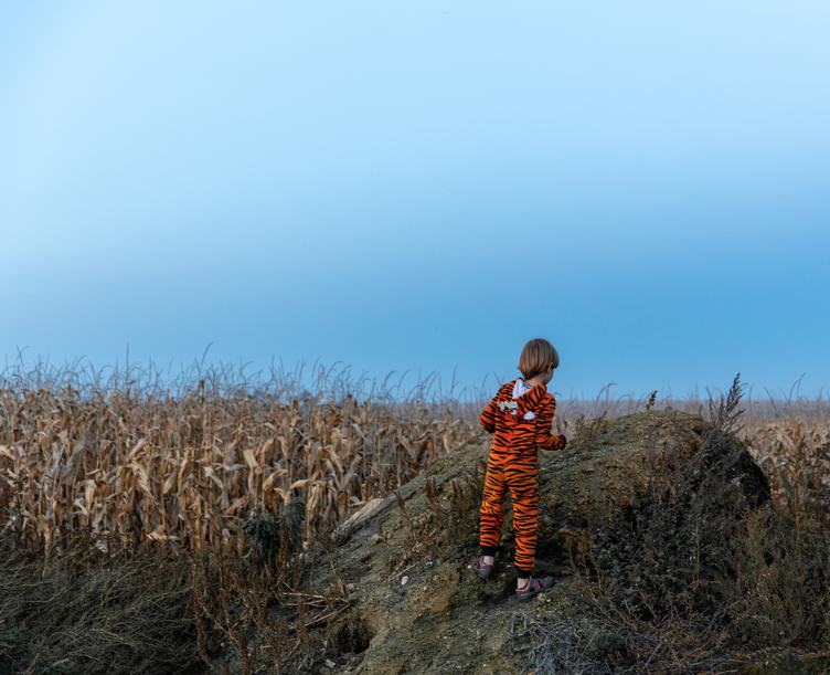 Child Dressed as a Tiger in a Cornfield